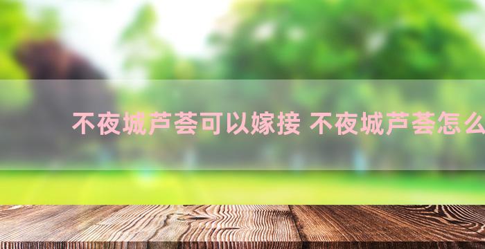 不夜城芦荟可以嫁接 不夜城芦荟怎么移栽